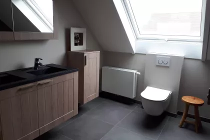 Bigger view of Badkamer renovatie
