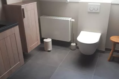 Bigger view of Badkamer renovatie