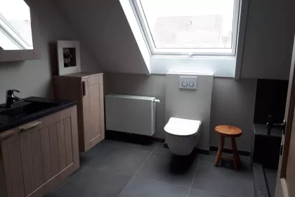 Bigger view of Badkamer renovatie