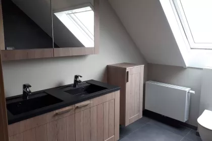 Bigger view of Badkamer renovatie